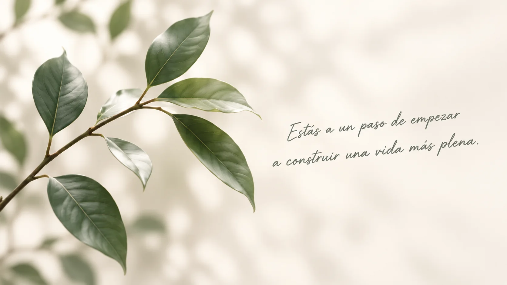 Rama verde sobre un fondo claro con mensaje de bienestar